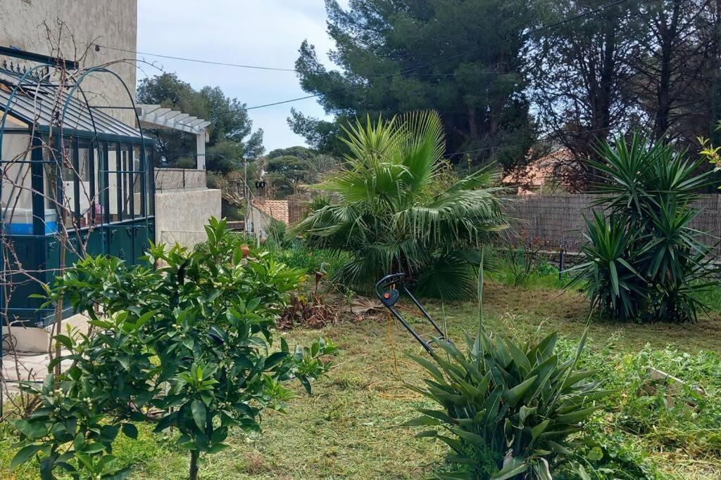 Villa Magali Grande Terrasse Vue Mer, Jardin, Proche Port La Ciotat Esterno foto